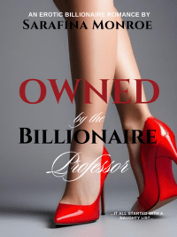 Owned By The Billionaire Professor