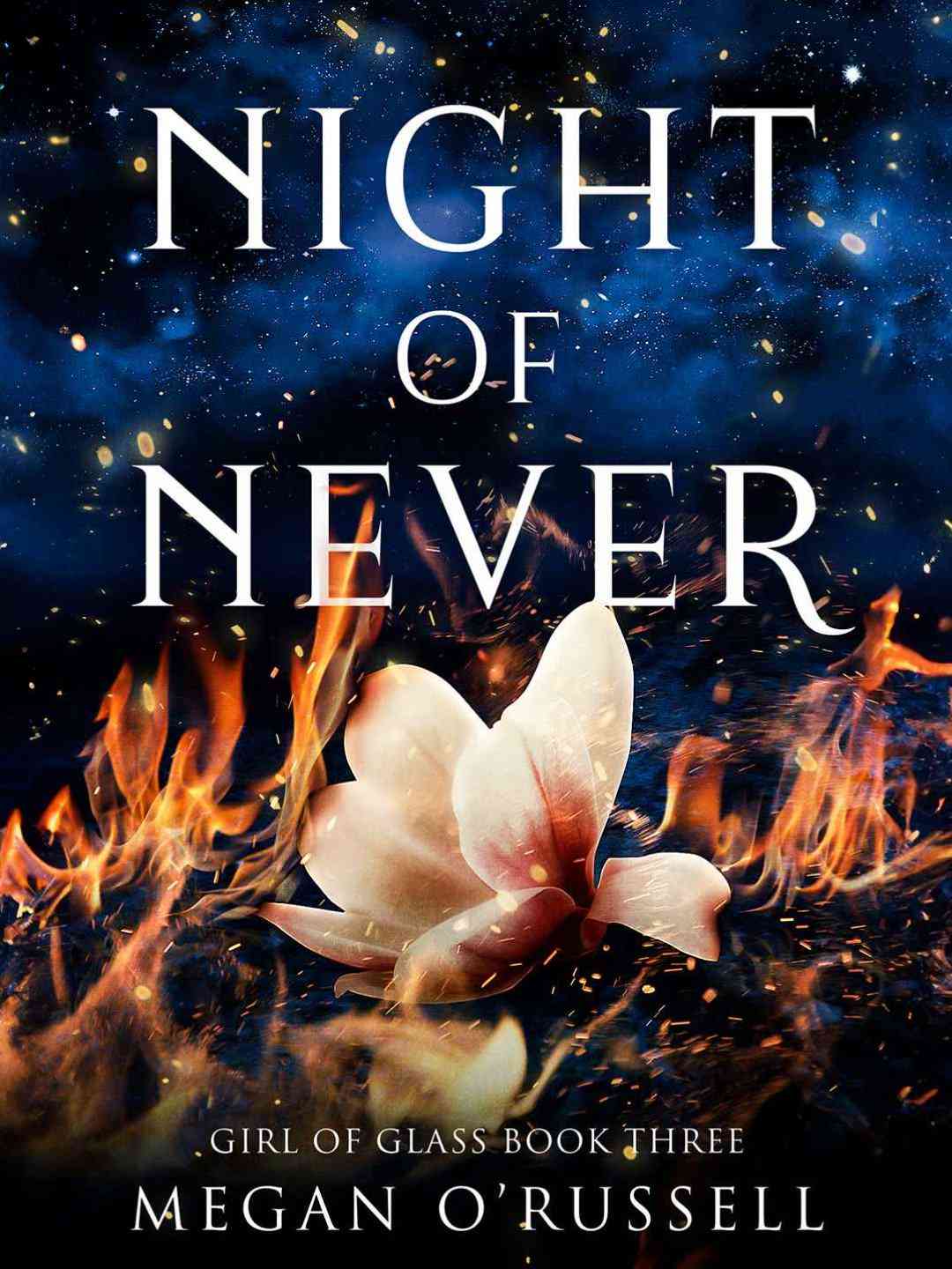 Night of Never