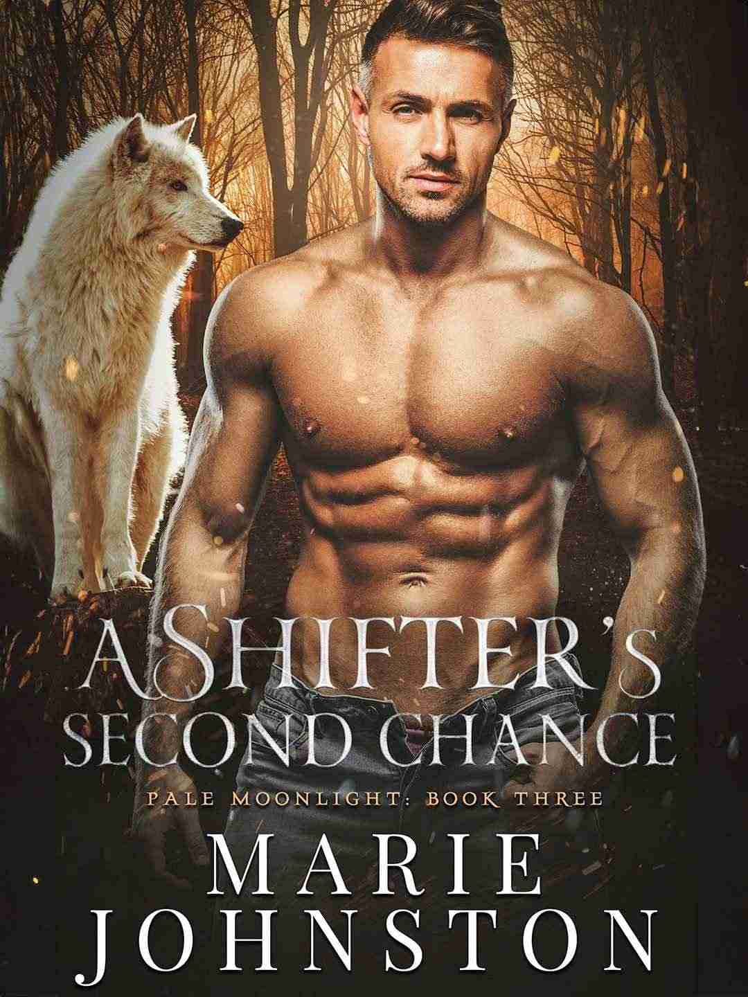 A Shifter’s Second Chance