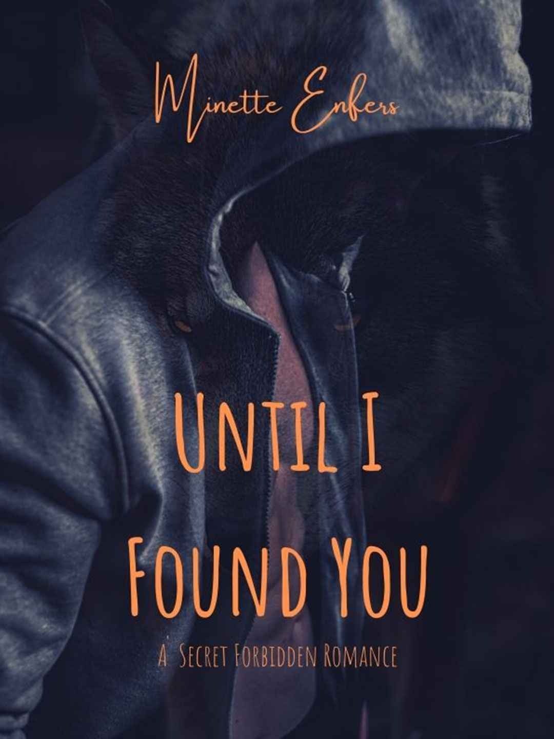 Until I Found You: A Secret Forbidden Romance