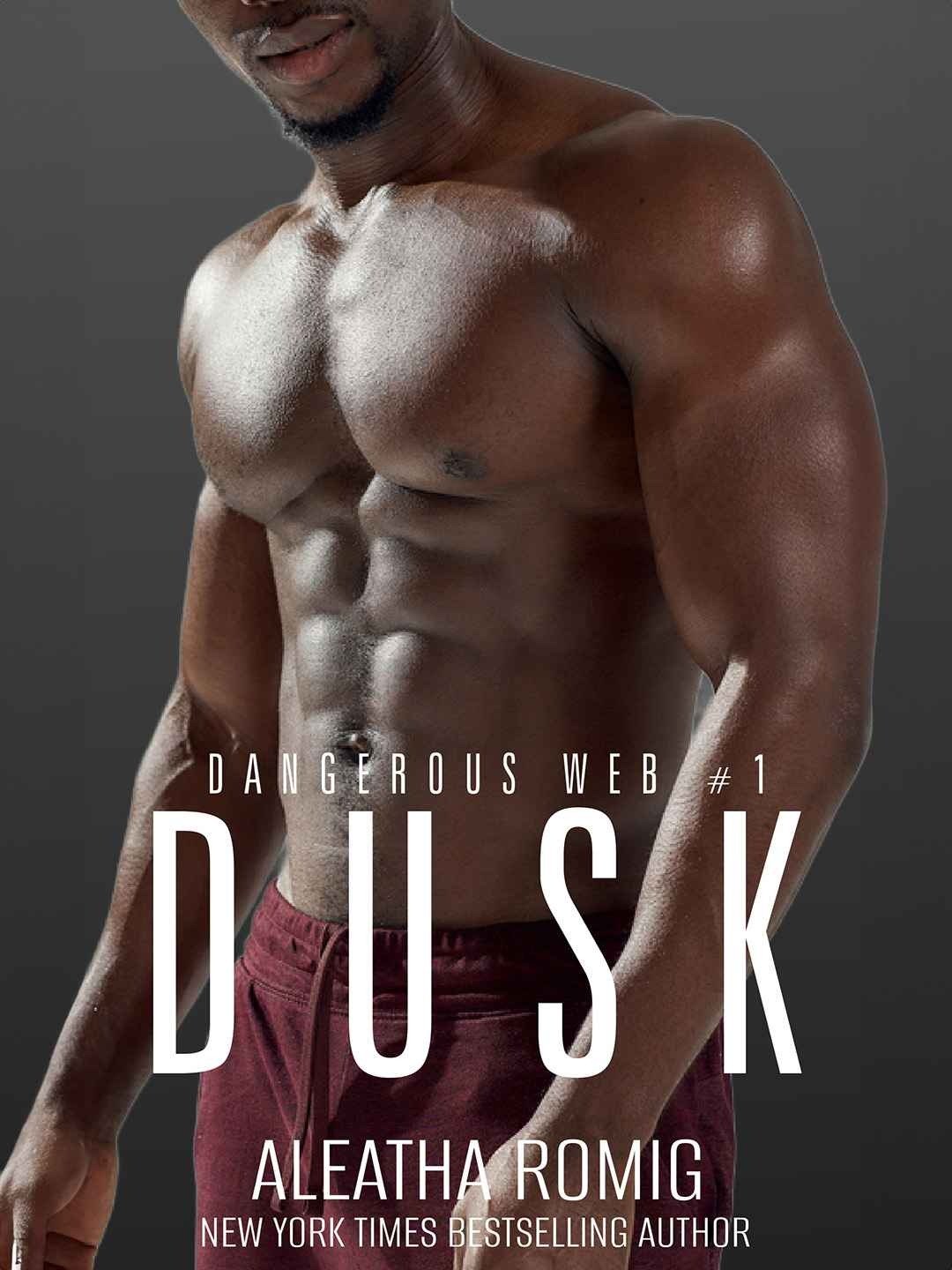 Dusk: Dangerous Web 1